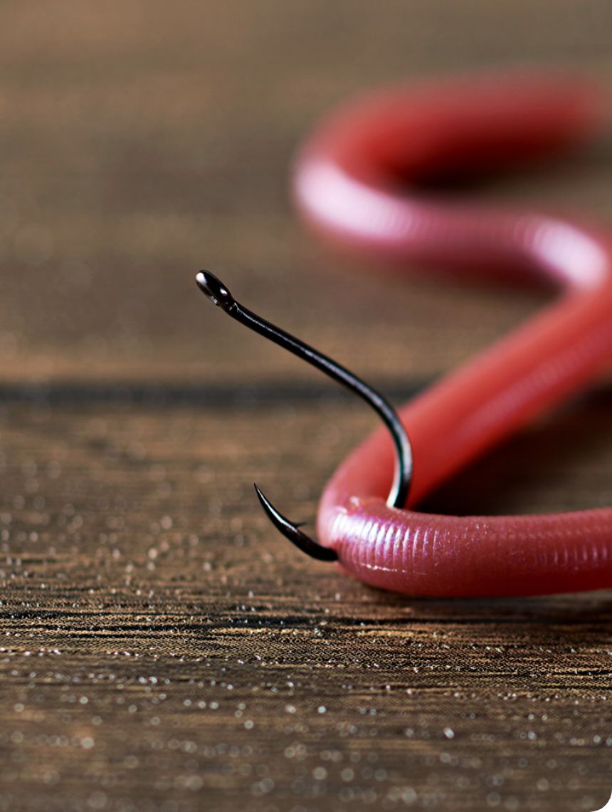 ハリ / シンカー / リング