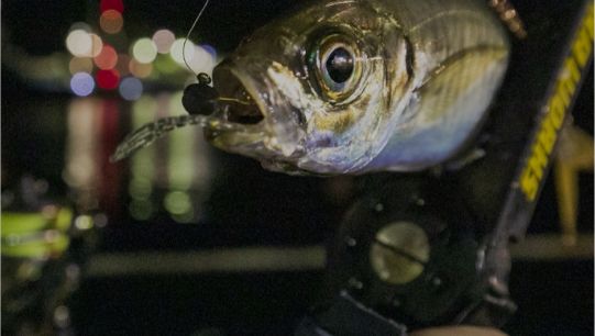 ライトゲーム・アジング