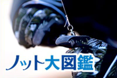 ノット大図鑑