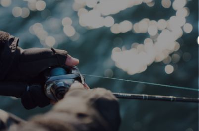 ライン選びのポイント