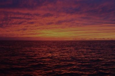 オフショアフィッシングマガジン