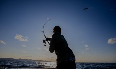 バリバスビジョン