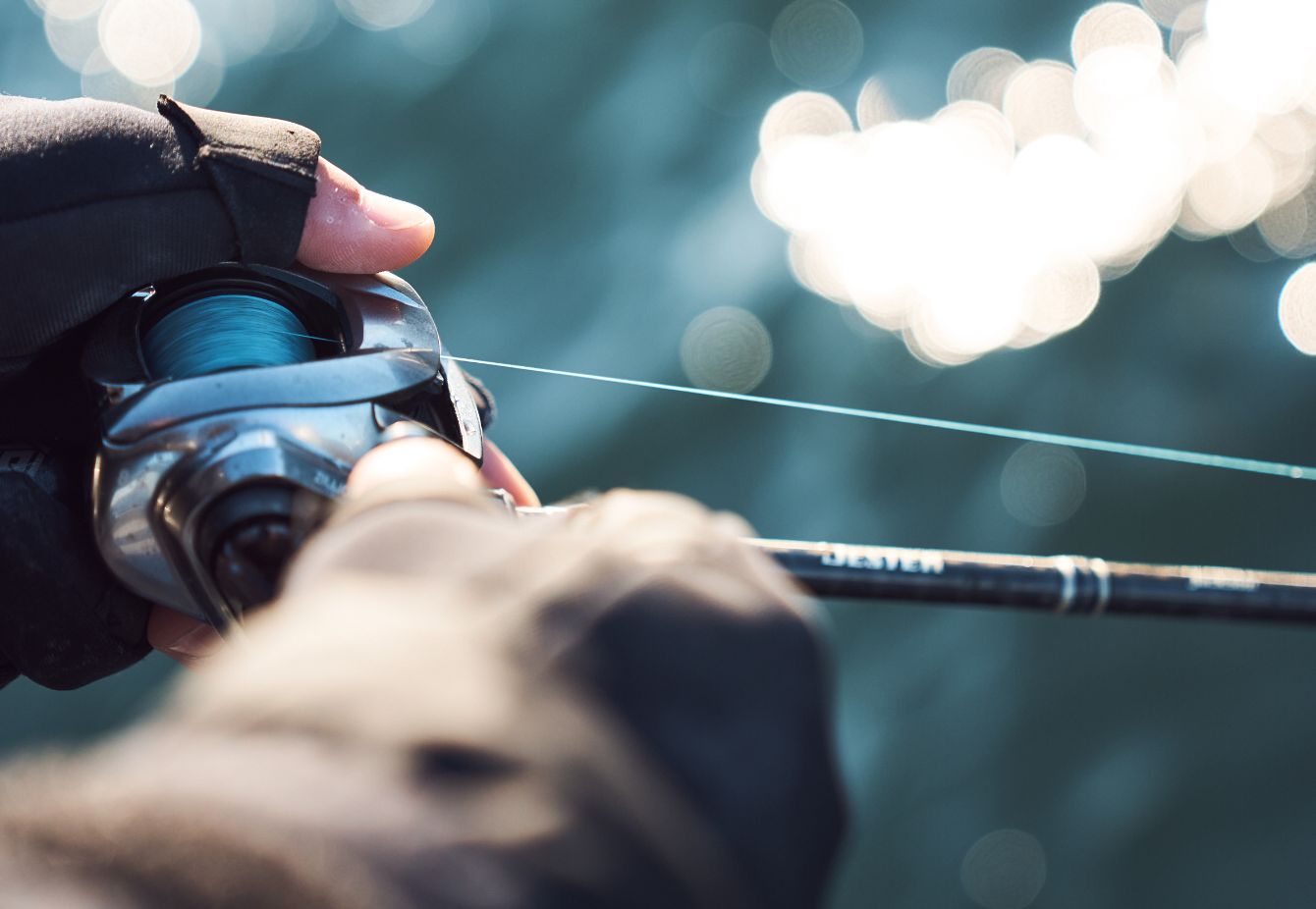 ライン選びのポイント