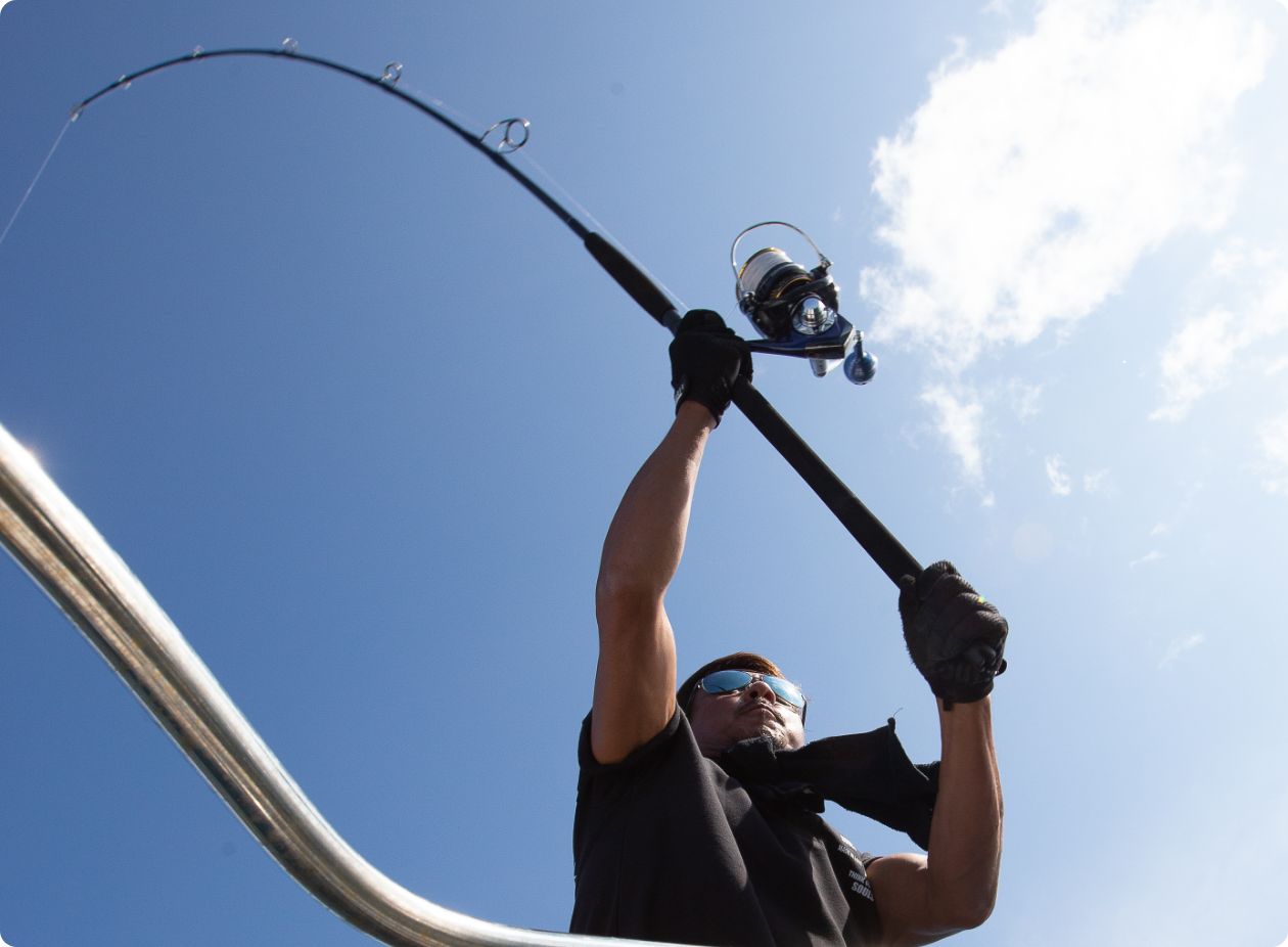 フィールドテスト