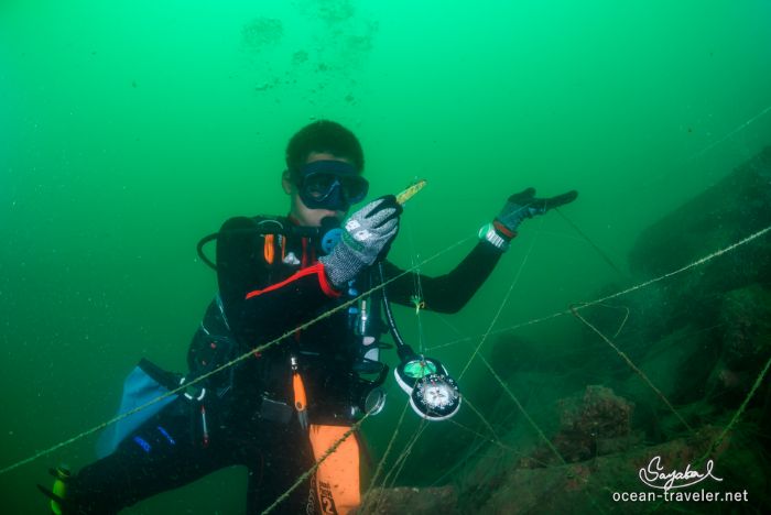 海中清掃活動への支援