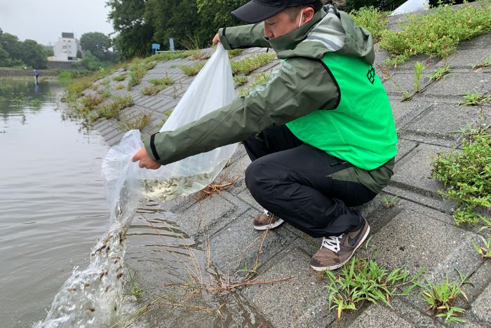 稚魚放流活動