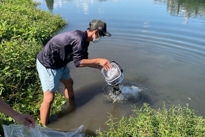 稚魚放流活動