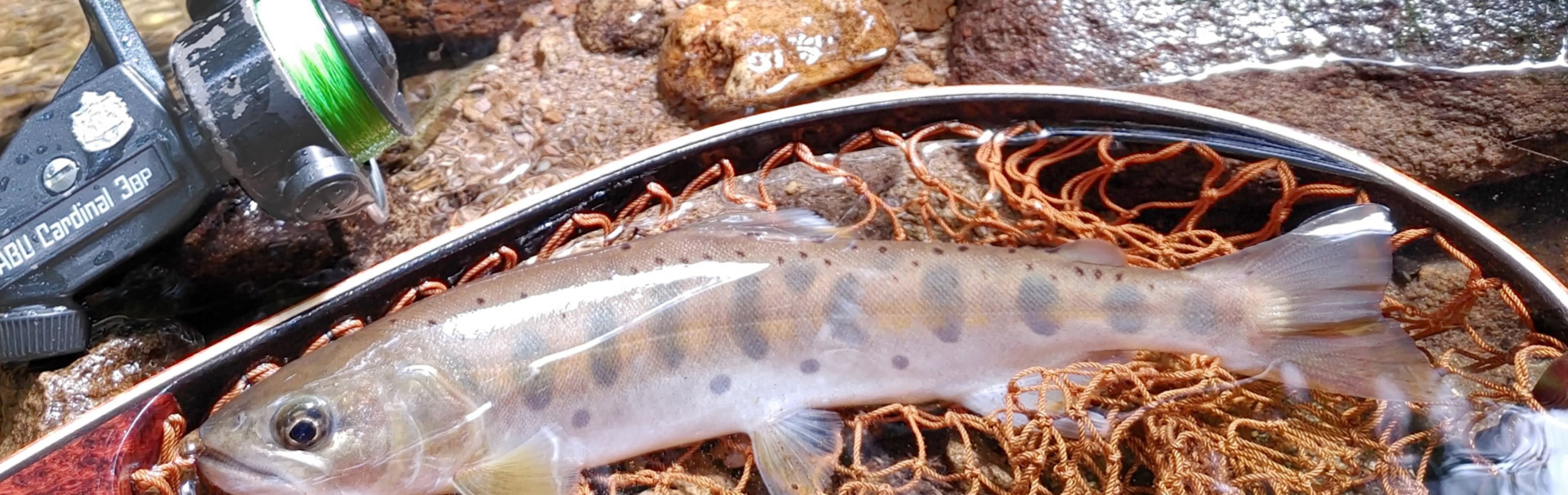 良い釣りをするには良いノットから