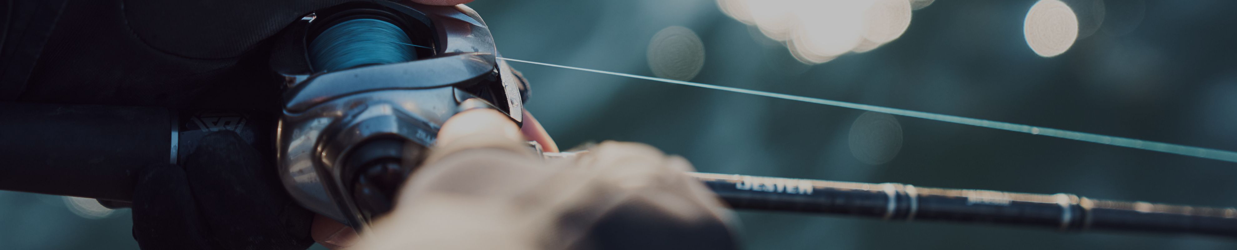 ライン選びのポイント