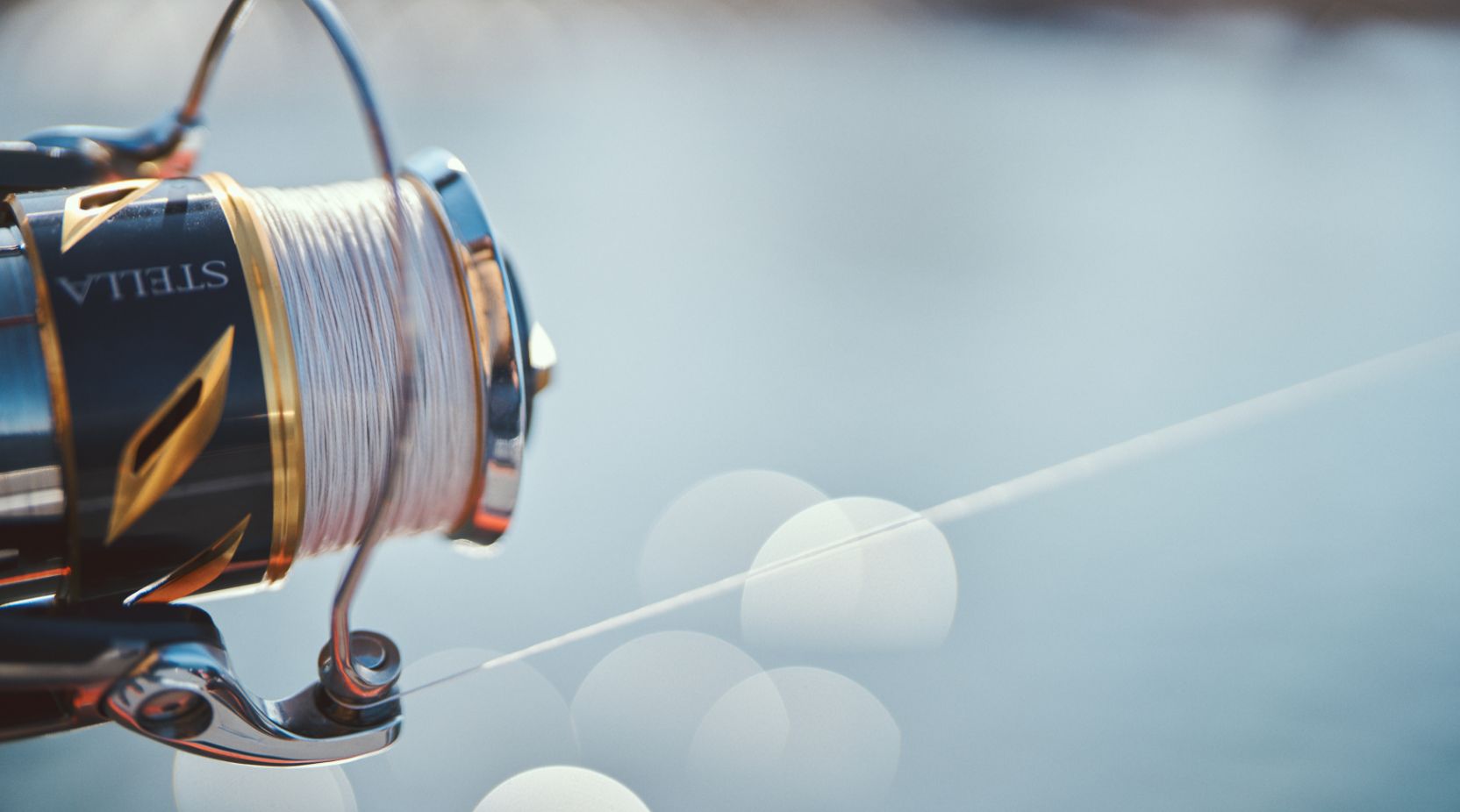 糸の号数、ポンド数の見方と選び方