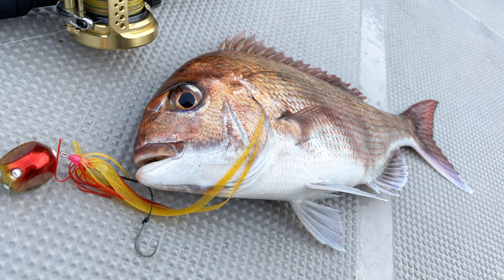 ルアーやリグ、仕掛けを考えてからセレクトする