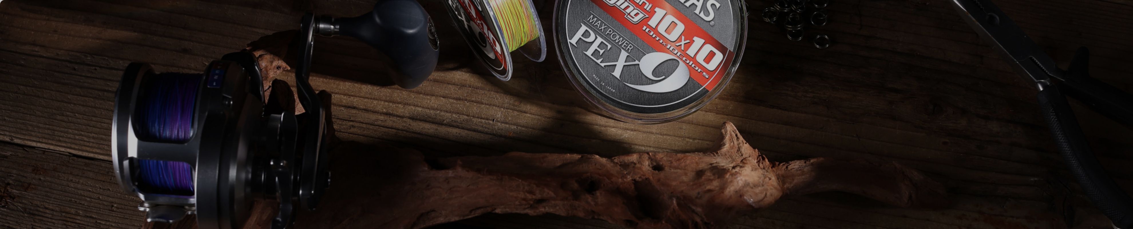 ピックアップコンテンツ