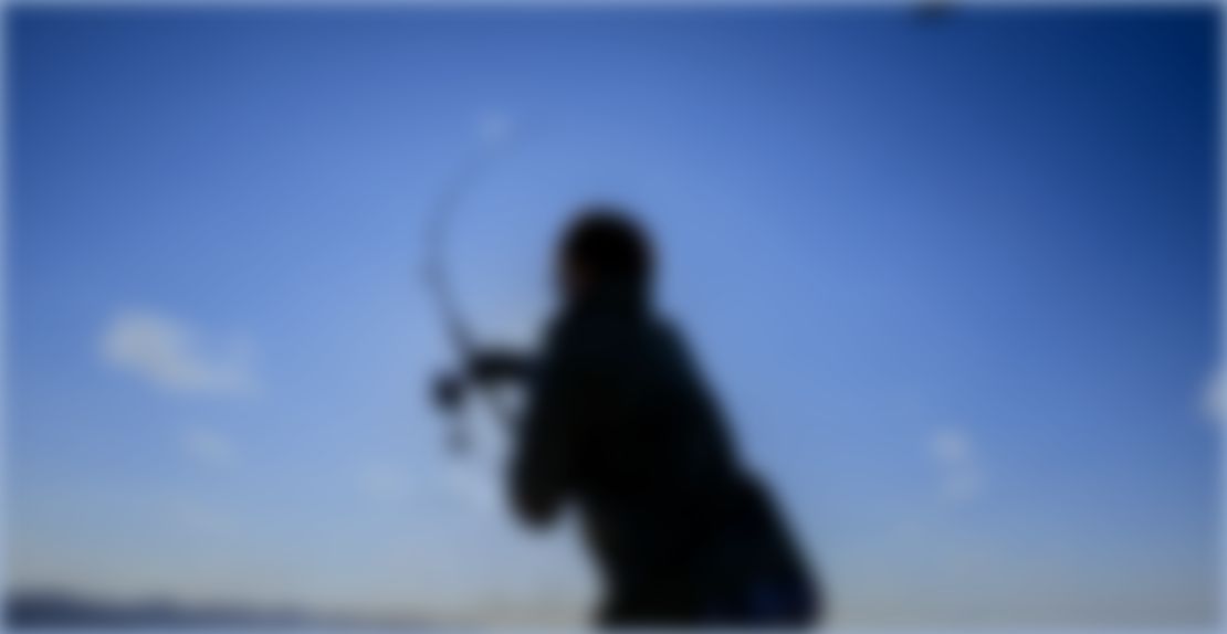 バリバスビジョン