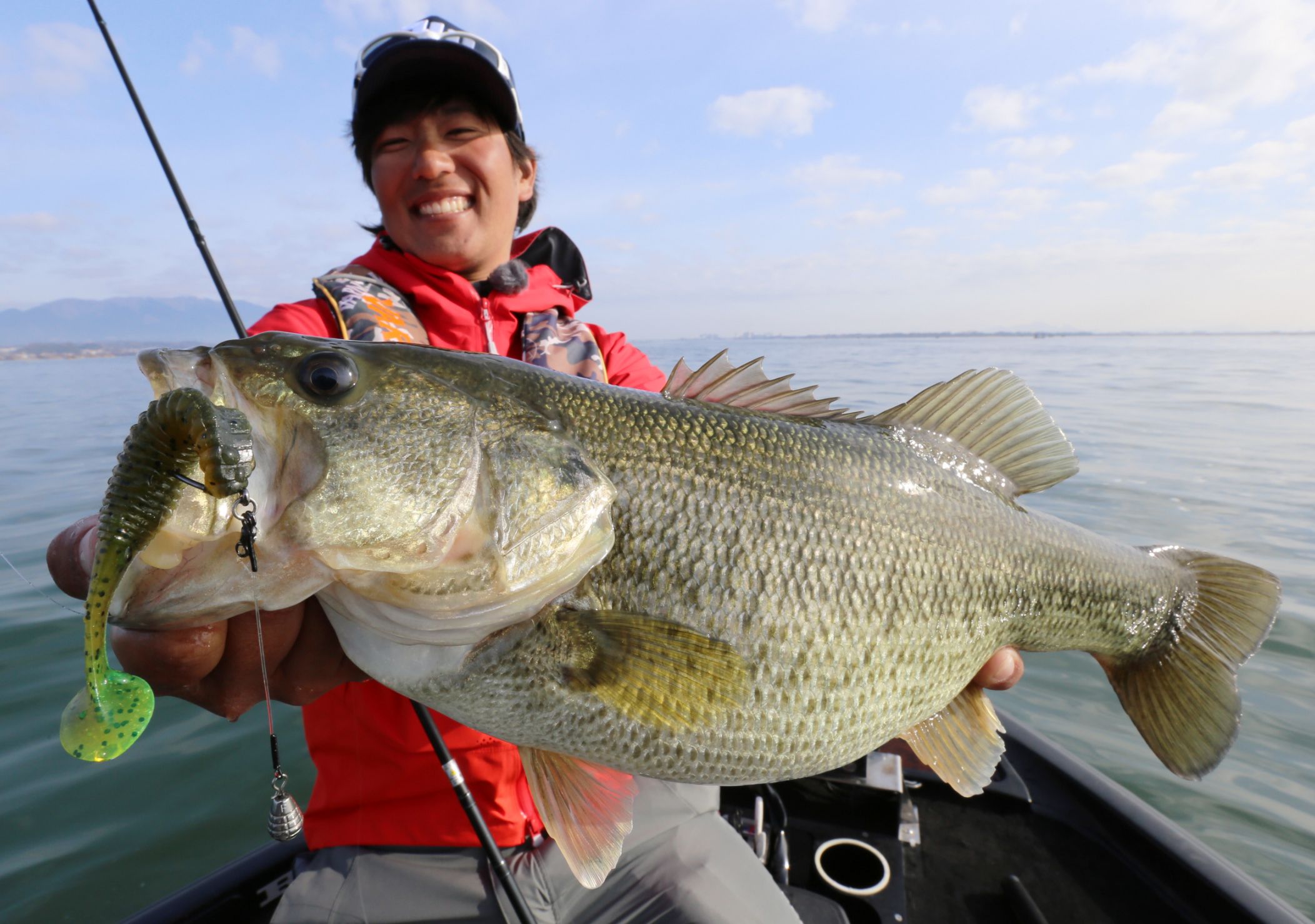 紹介したリグにおすすめのアイテムをチェック
