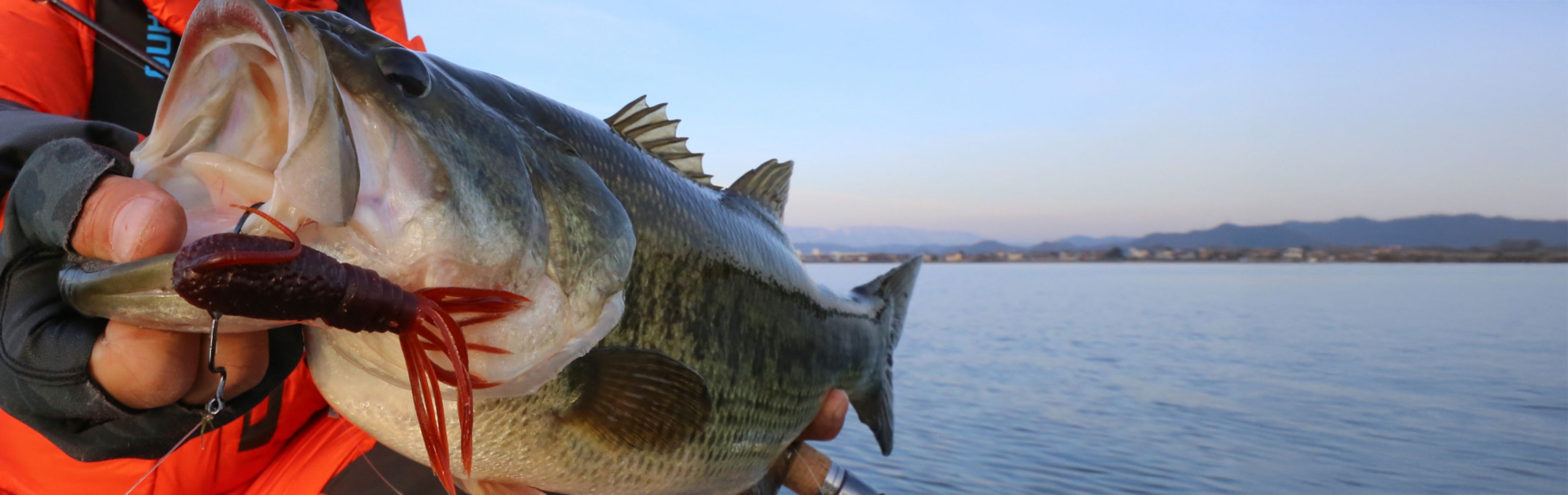 バスフィッシング・ロックフィッシュを楽しむために
