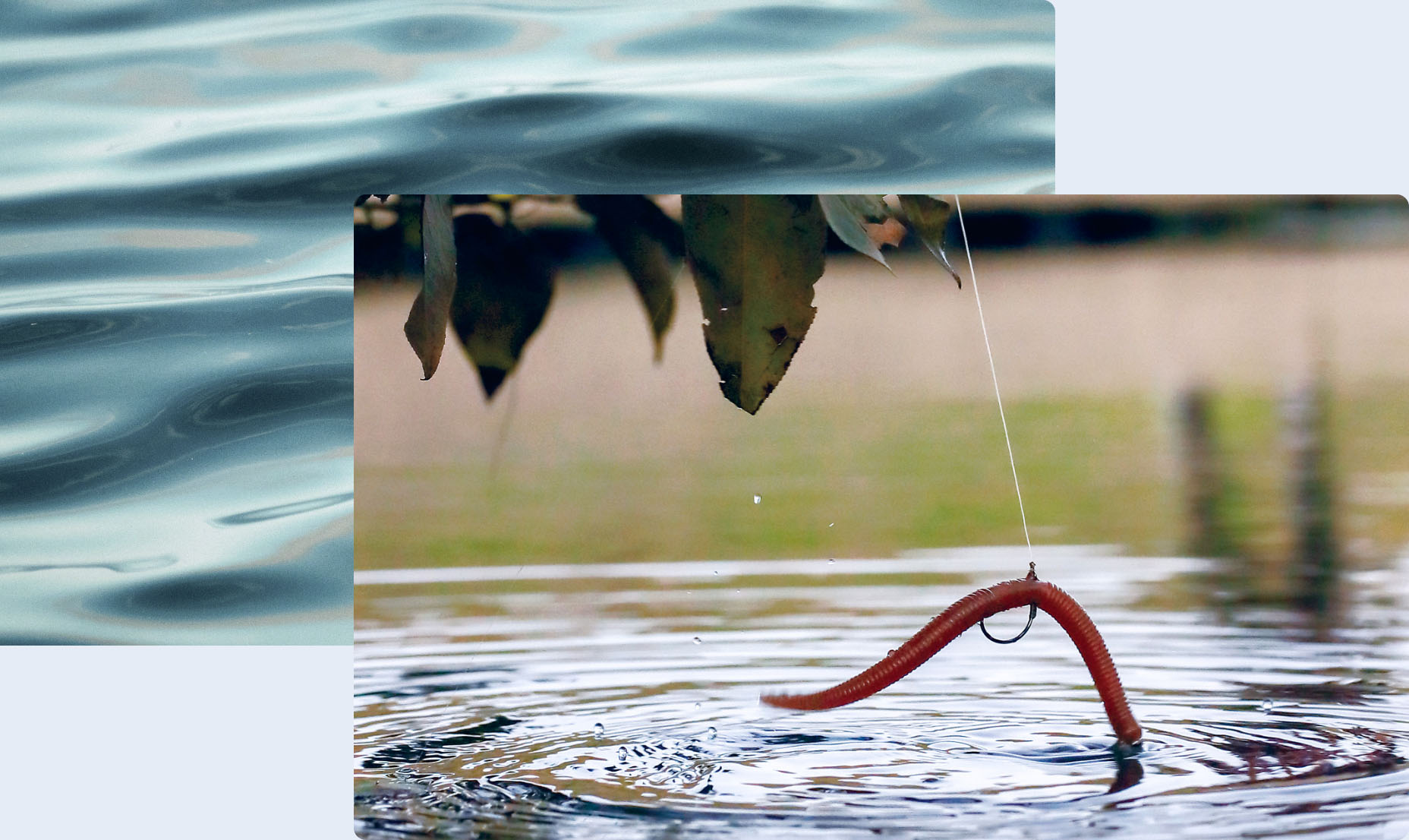 多彩なリグの世界