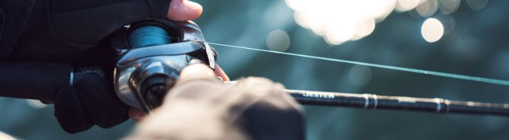 ライン選びのポイント