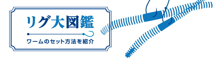 リグ大図鑑 ワームのセット方法を紹介