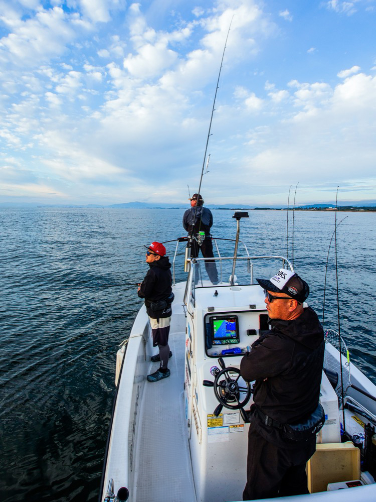 伊勢湾サワラキャスティング