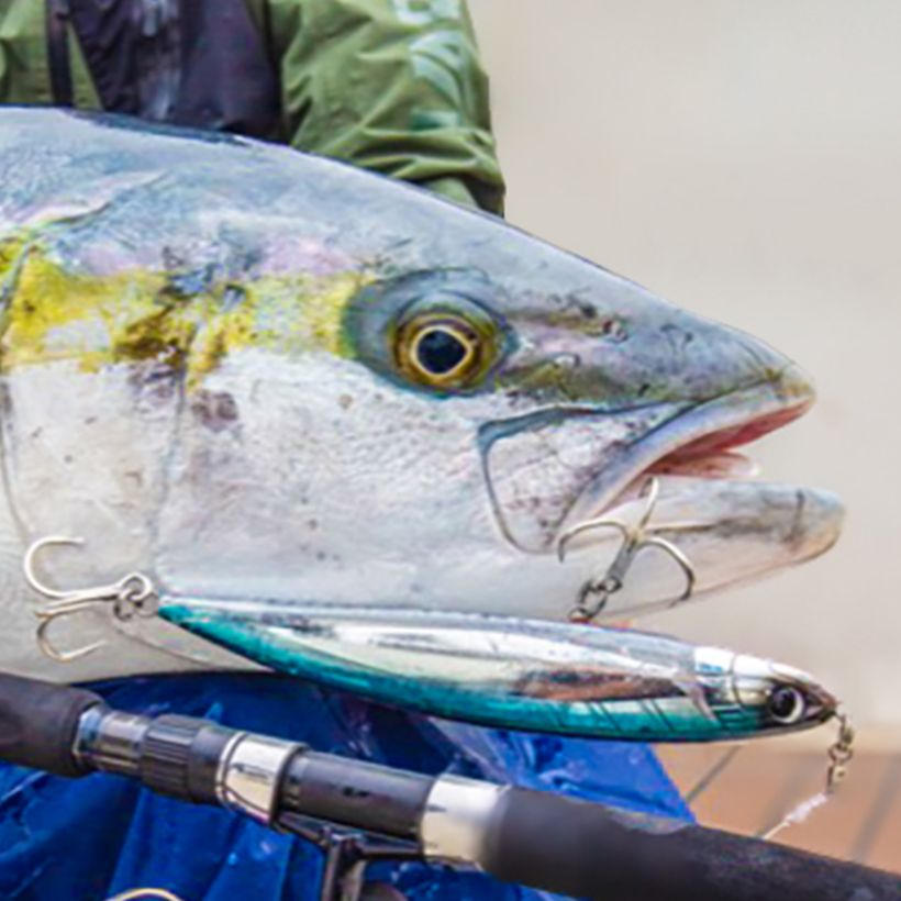 キャスティング