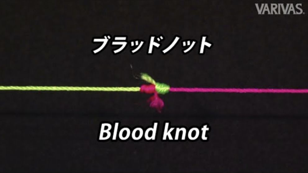 ブラッドノット