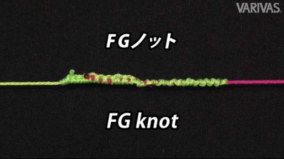 FGノット