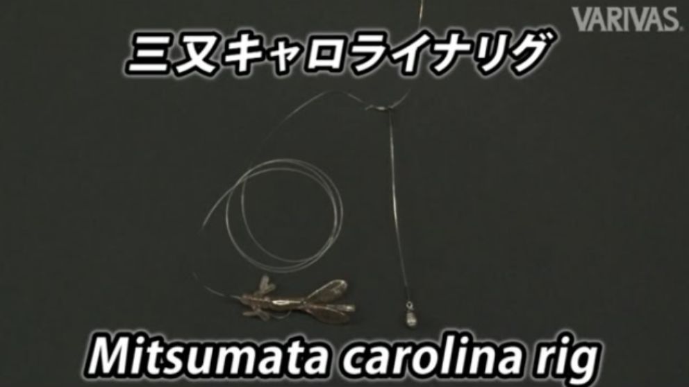 三又キャロライナリグ