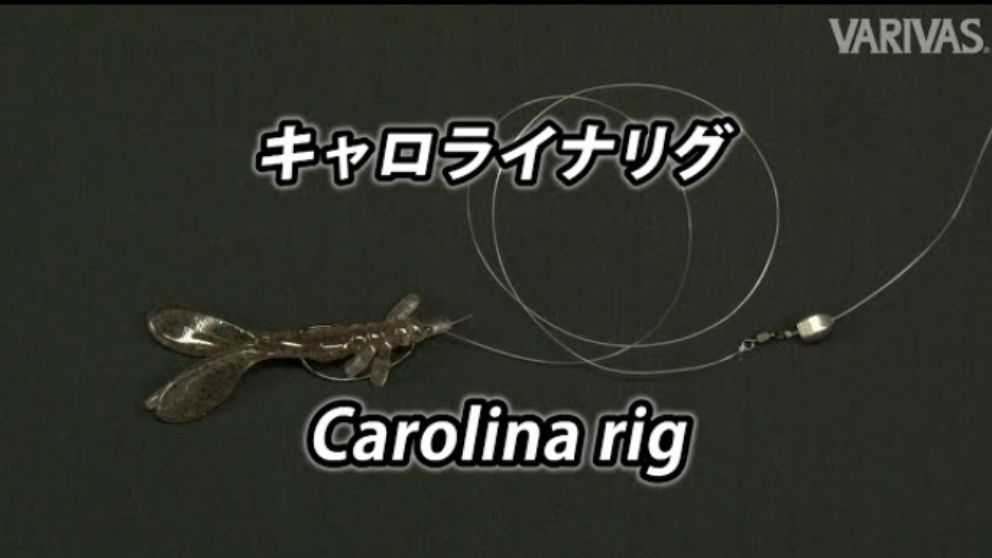 キャロライナリグ