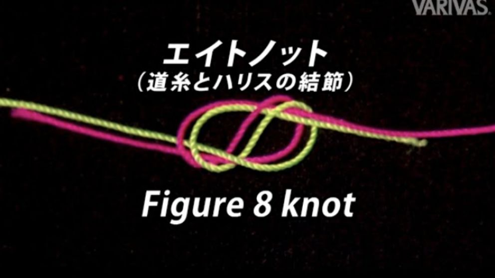 エイトノット