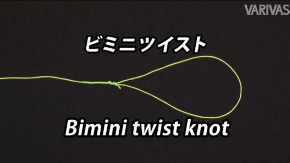 ビミニツイスト