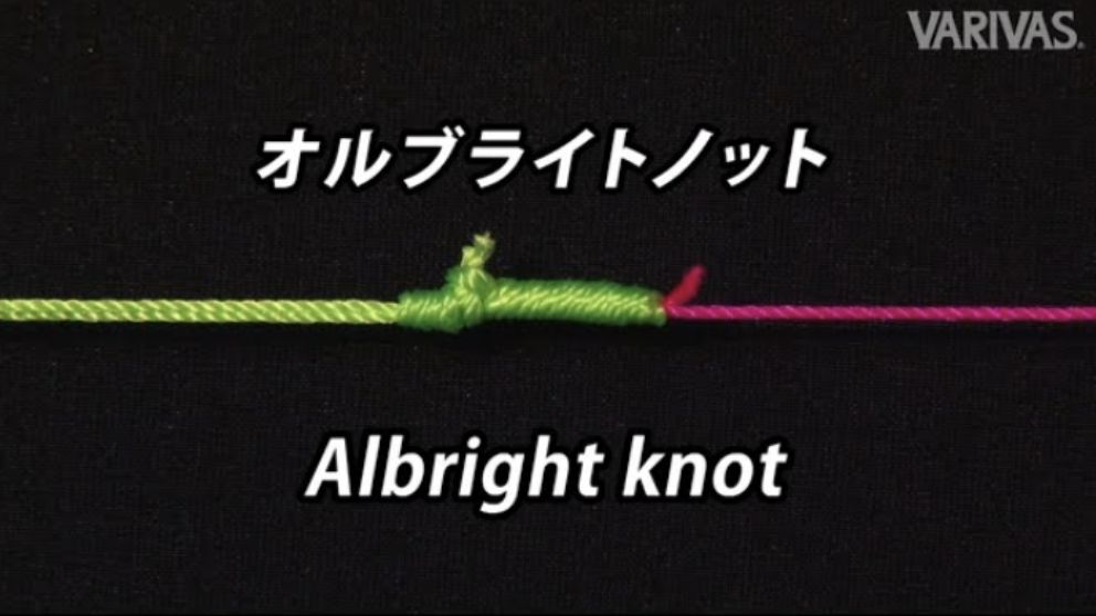 オルブライトノット