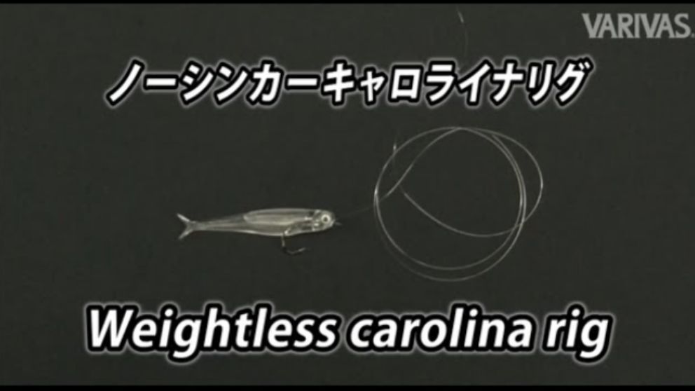 ノーシンカーキャロライナリグ