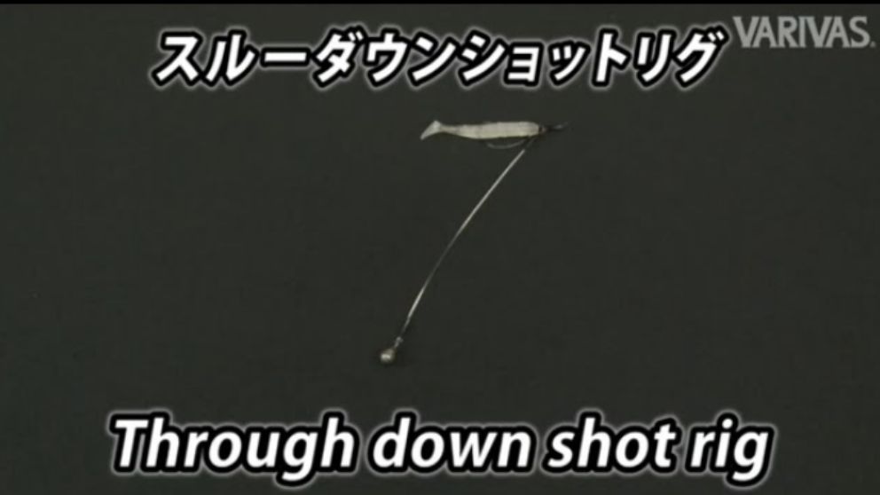 スルーダウンショットリグ