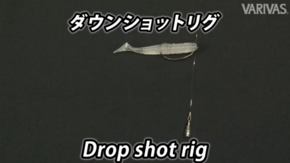 ダウンショットリグ