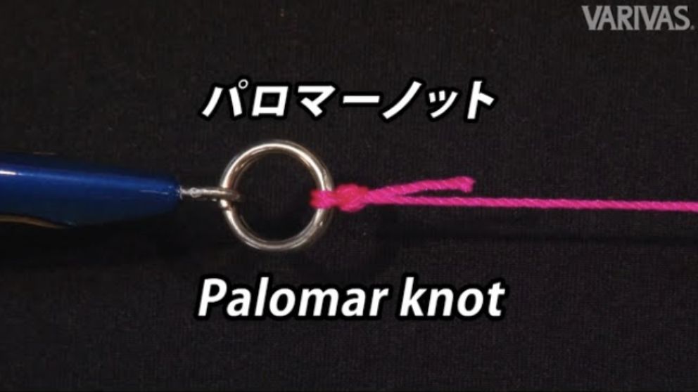 パロマーノット