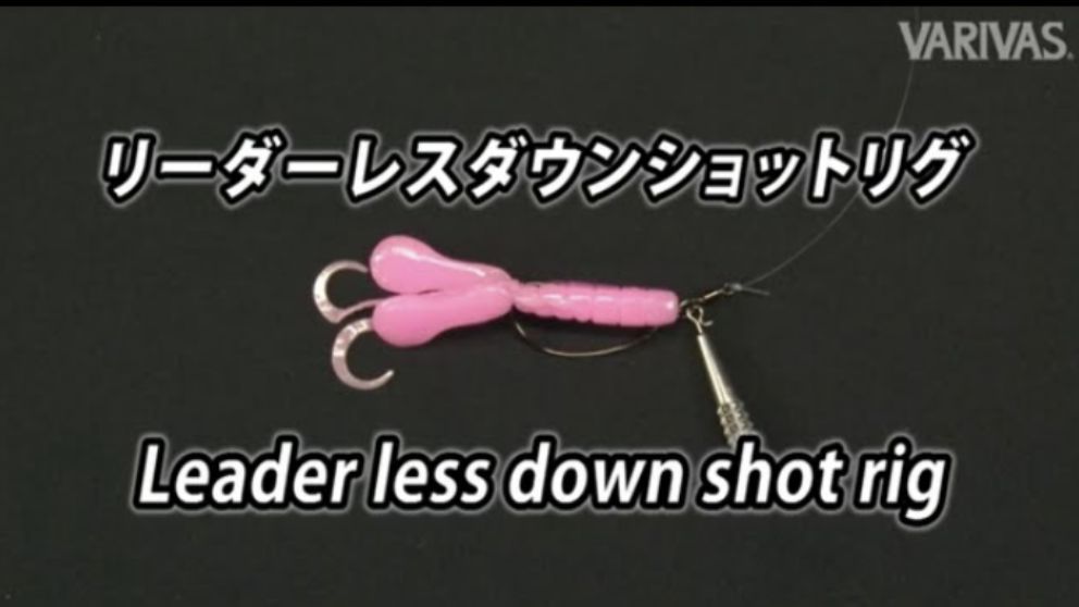 リーダーレスダウンショットリグ