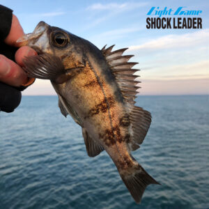 ライトゲーム ショックリーダー［フロロカーボン］