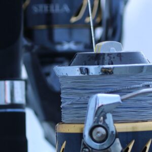 アバニ キャスティングPE SMP X8