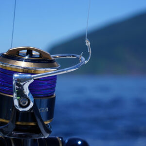 大物ハリス［ナイロン］