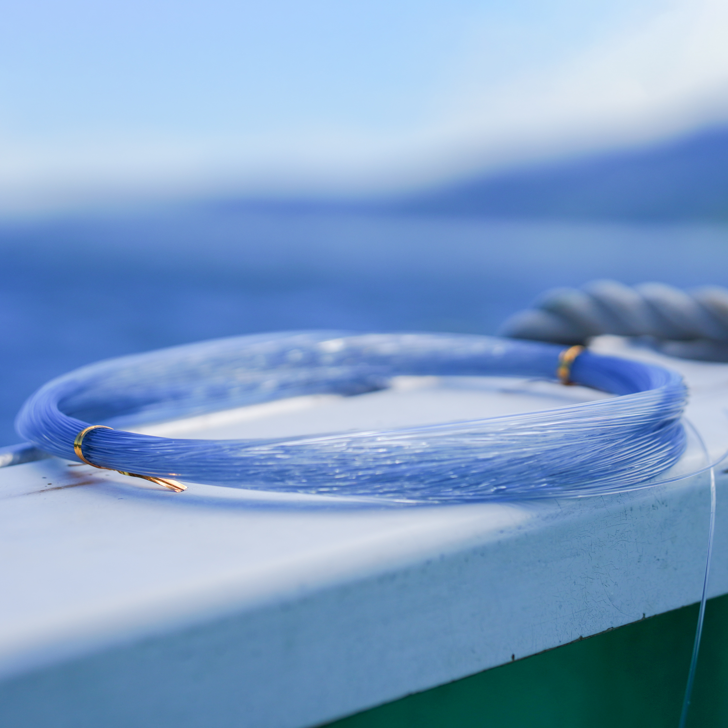 大物ハリス［ナイロン］