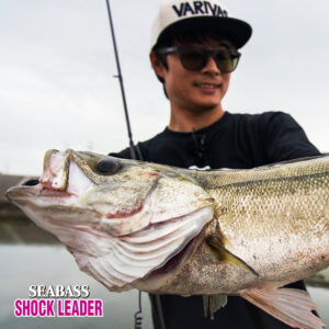 シーバス ショックリーダー ［ナイロン］
