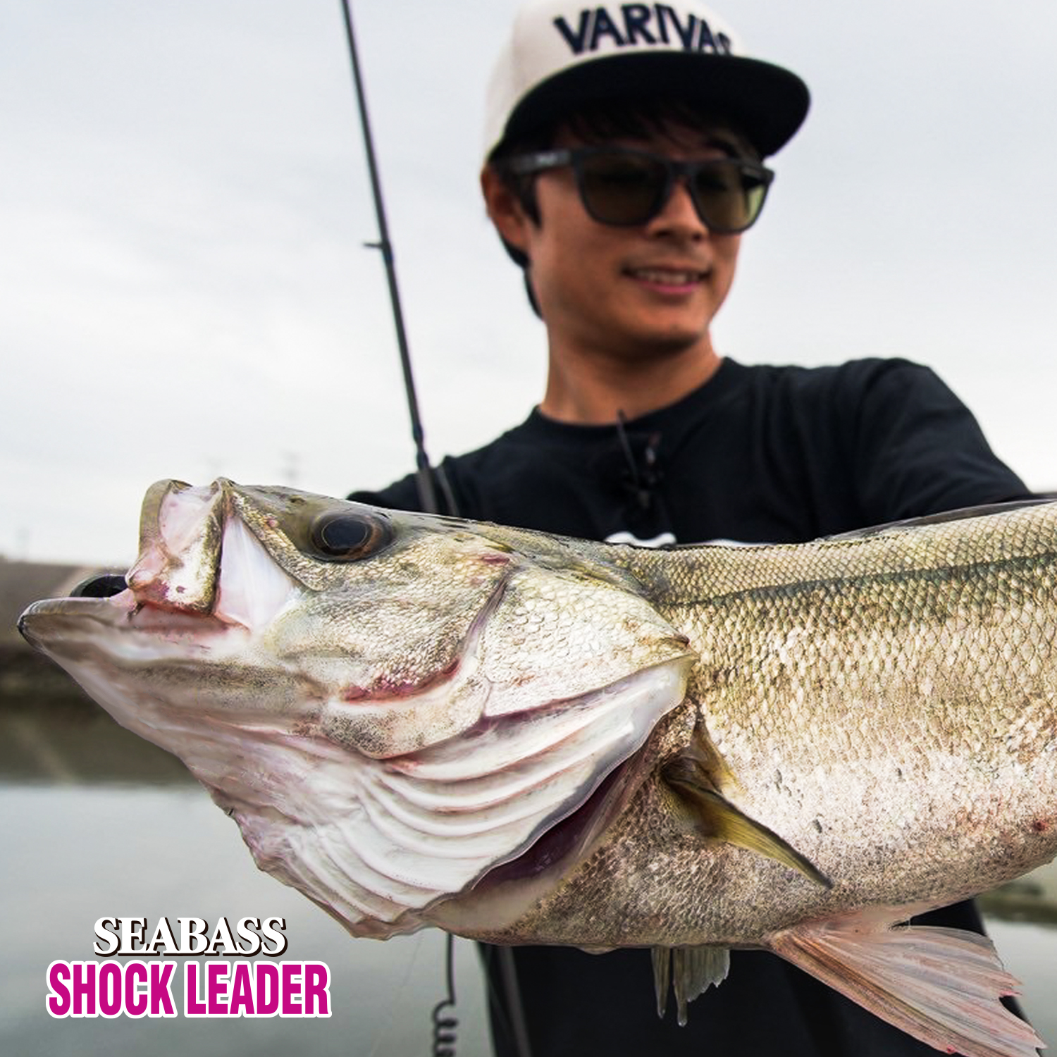シーバス ショックリーダー ［ナイロン］