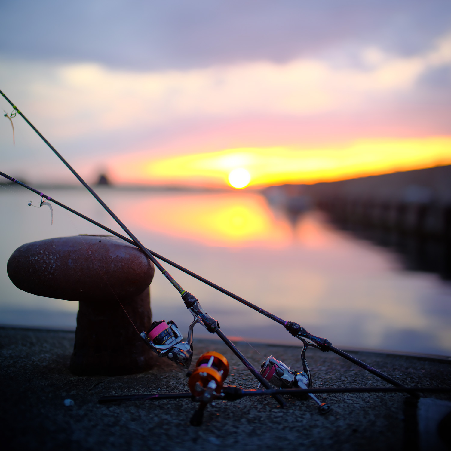 TFL- 57WRXTi <極致><br>【カラー：チャートリュースヴェール】