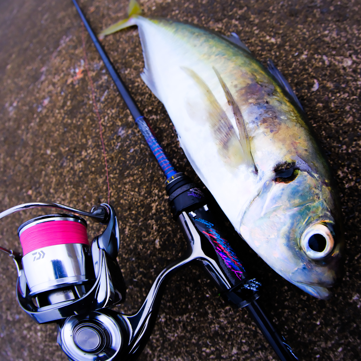 TFL- 57WRXTi <極致><br>【カラー：ブルーオーロラ】