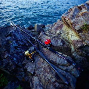 製品画像サムネイル