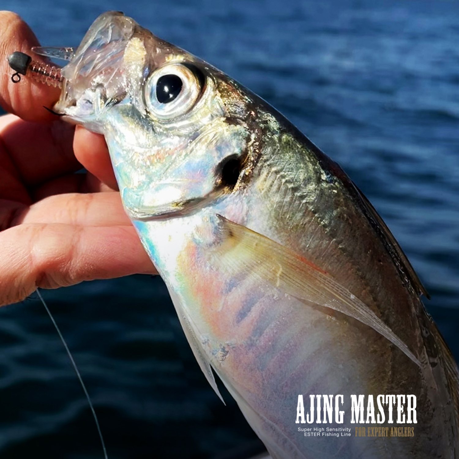 アジングマスター［エステル］