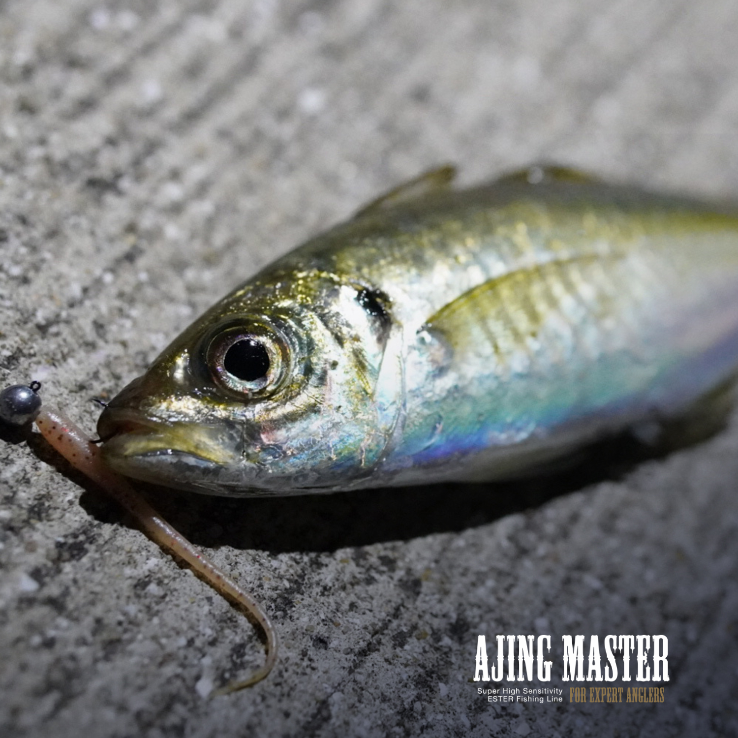 アジングマスター［エステル］