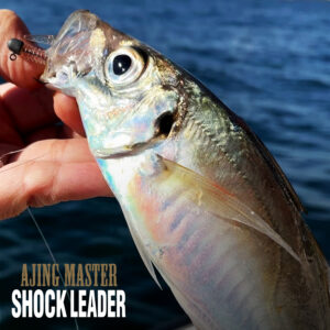 アジングマスターショックリーダー［フロロカーボン］