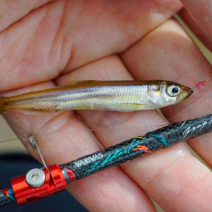 製品画像サムネイル