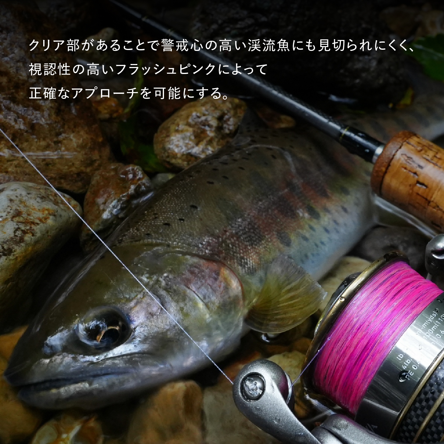 スーパートラウト アドバンス トゥイッチマスター マーキング［ナイロン］